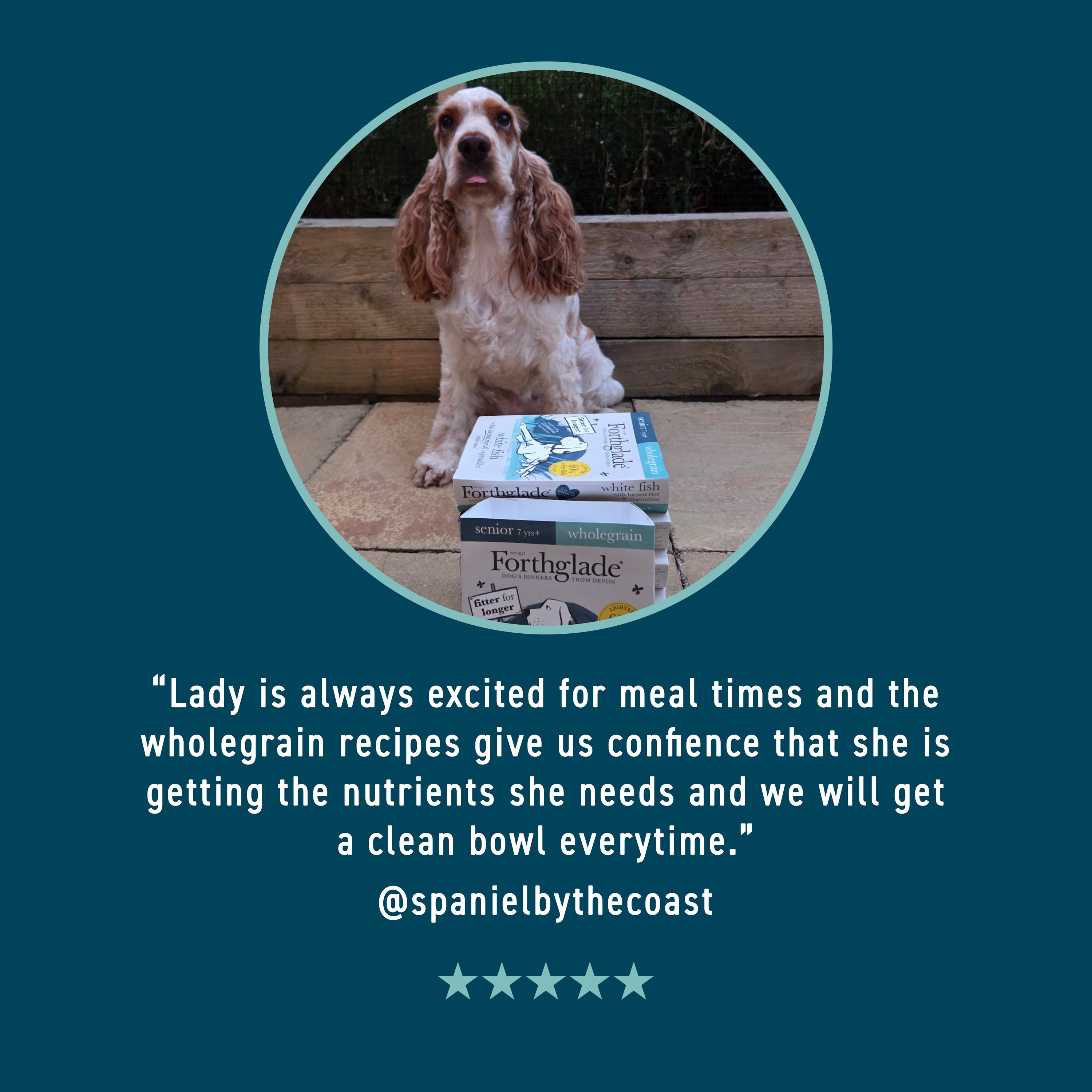 Ocean Fish & Brown Rice Wet Dog Food