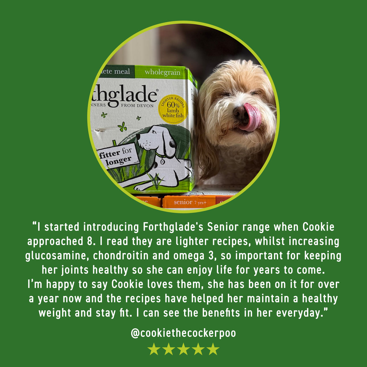 Senior Lamb & Brown Rice Wet Dog Food