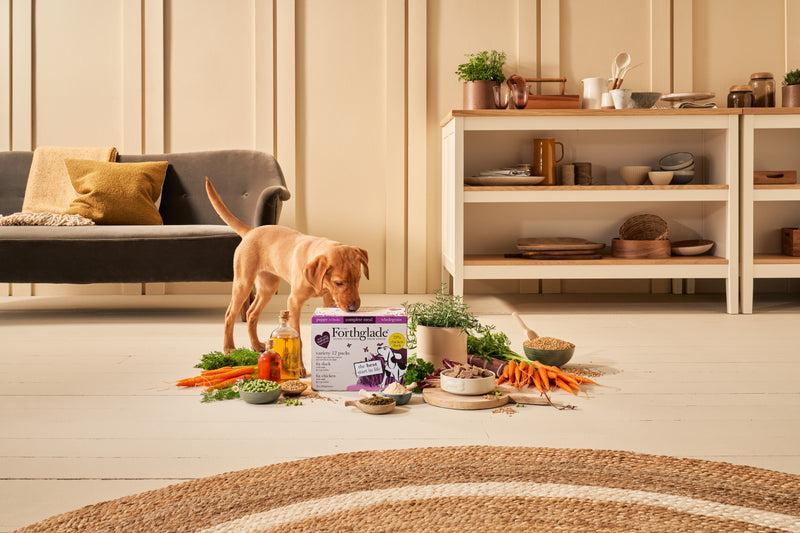 WG 395g PUP Individual VP Wide 1
