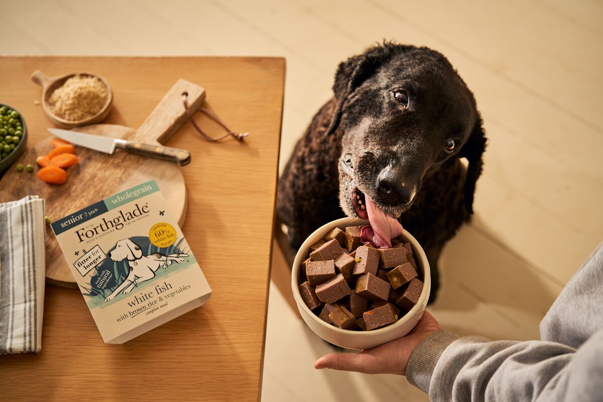 Complementary High Protein Wet Dog Food 90 Protein Forthglade
