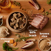 Senior Lamb & White Fish Wet Dog Food Variety Pack