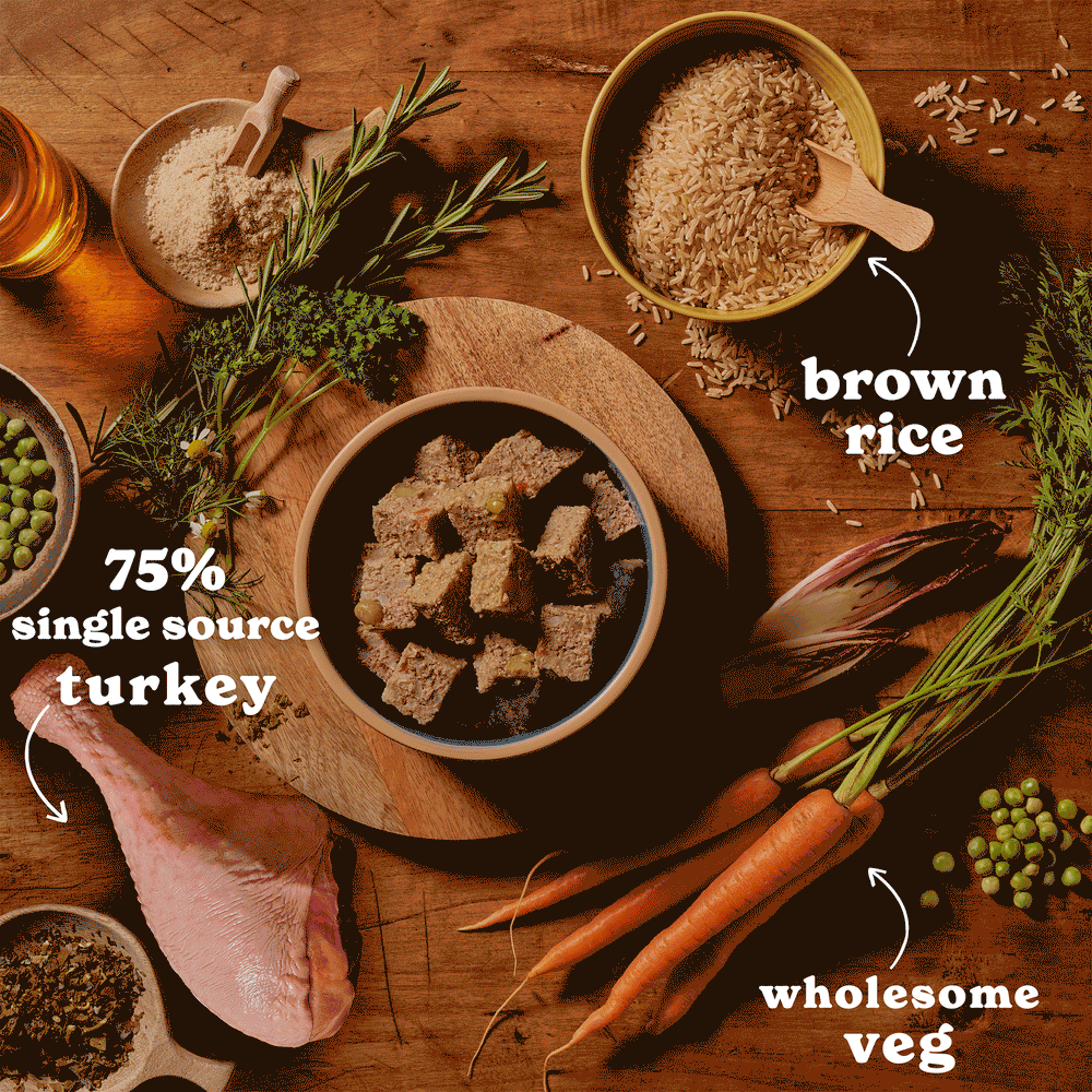 Turkey, Lamb & Chicken Wet Dog Food Variety Pack