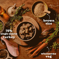 Turkey, Lamb & Chicken Wet Dog Food Variety Pack
