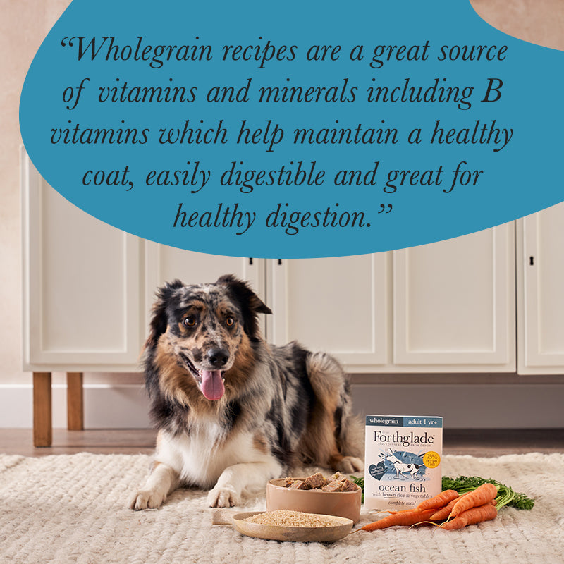 Wholegrain Wet Dog Food With Brown Rice or Oats Forthglade