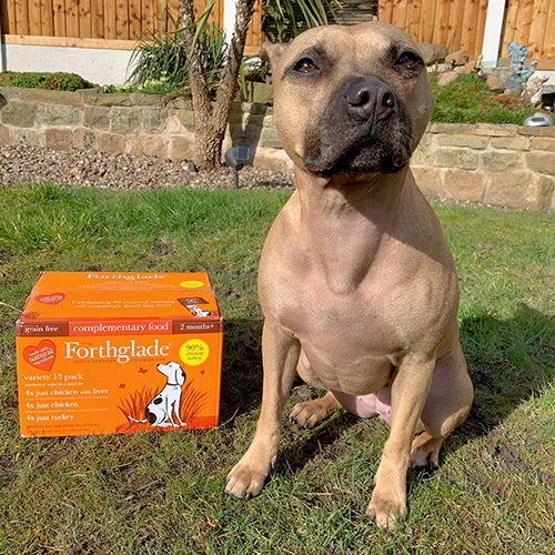 Wet food Ambassadog 3