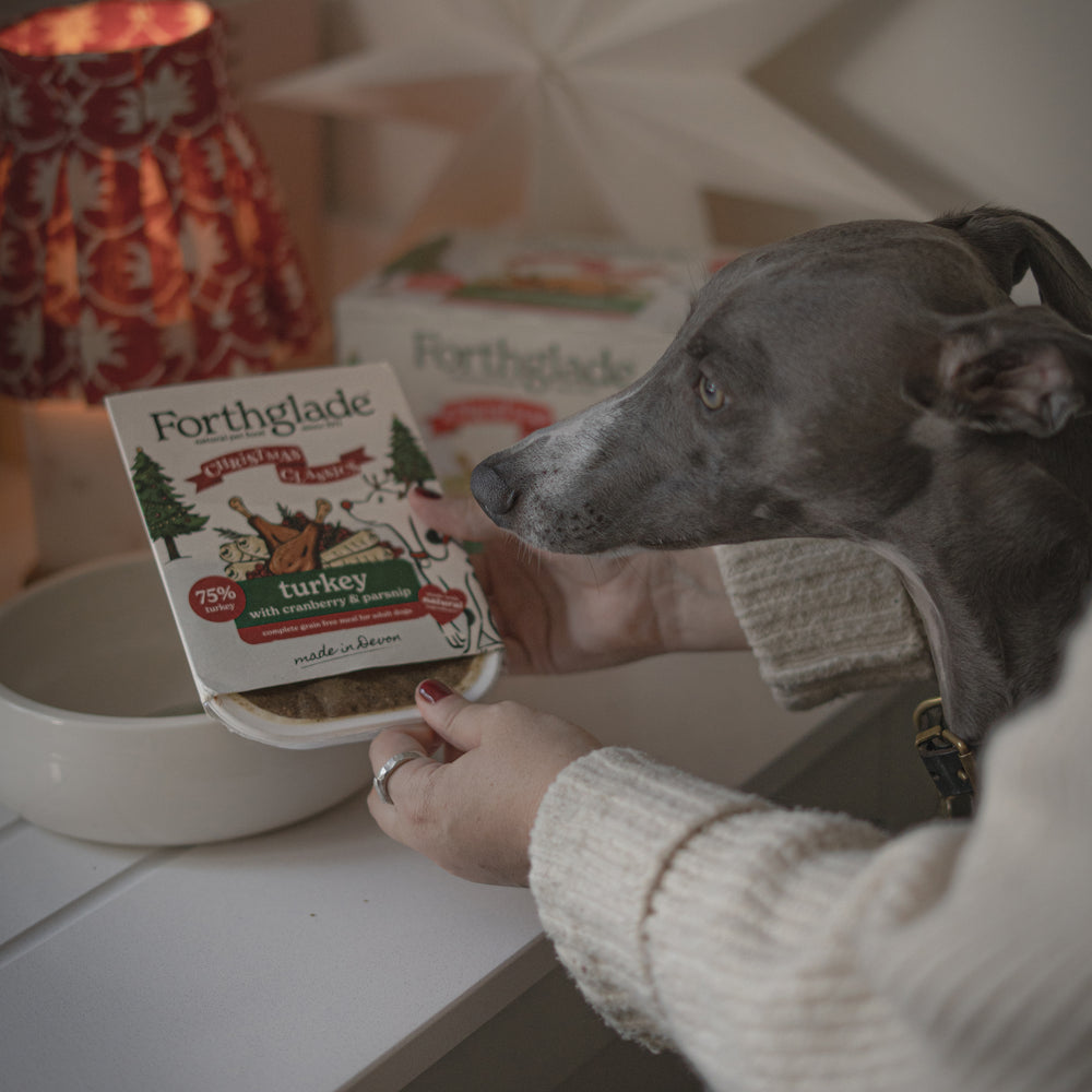 Christmas Classics Cranberry & Parsnip Wet Dog Food