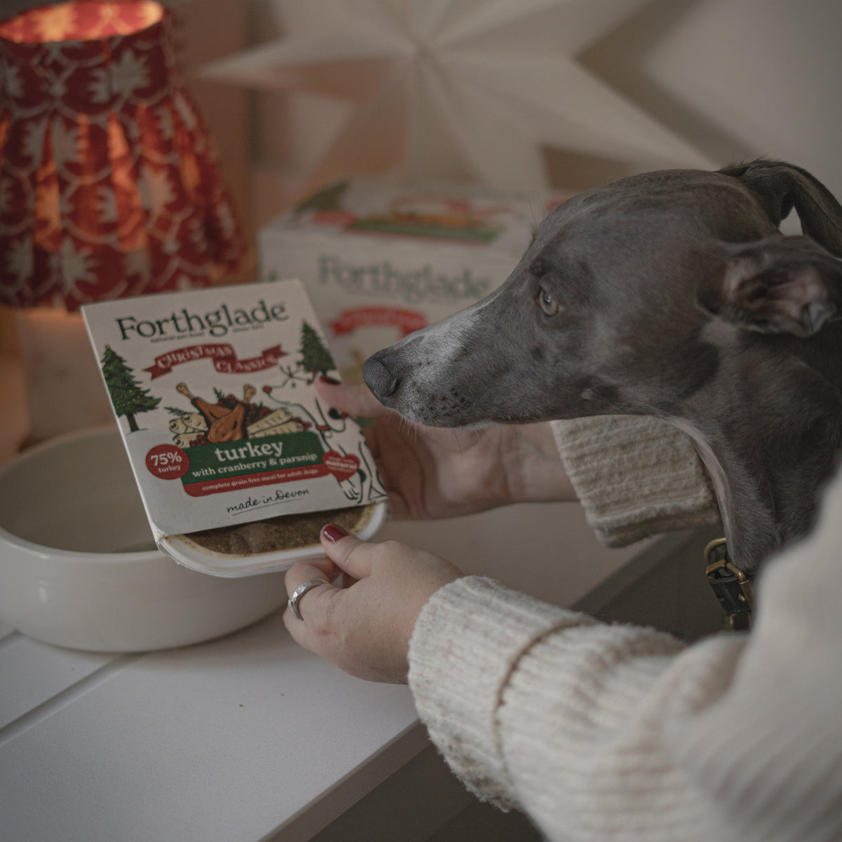 Christmas Classics Cranberry & Parsnip Wet Dog Food