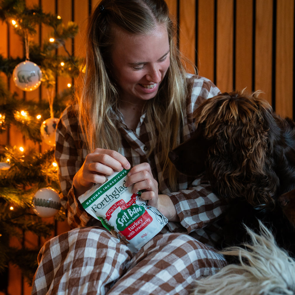 Christmas Classics Dog Treats with Turkey & Cranberry