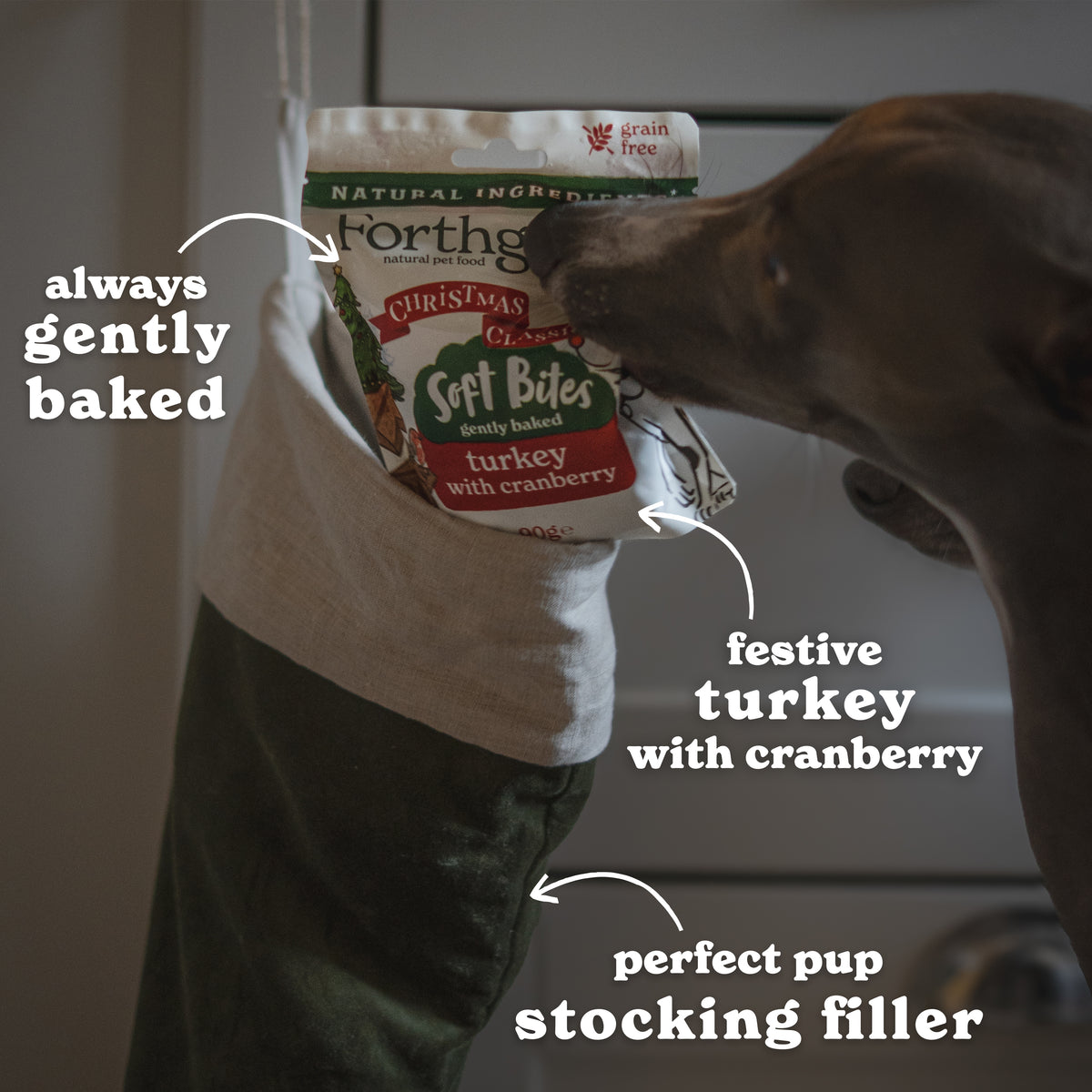 Christmas Classics Dog Treats with Turkey & Cranberry