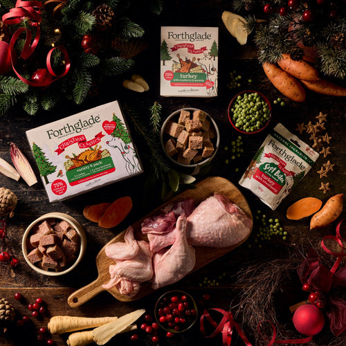 Christmas Classics Cranberry & Parsnip Wet Dog Food