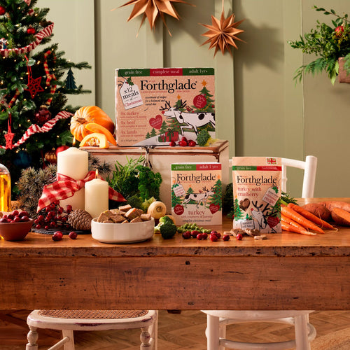 A Paw-some Christmas Crafting the Ultimate Dog Snack Pack