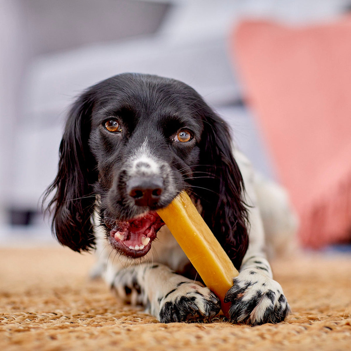 YAKERS Original Dog Chew