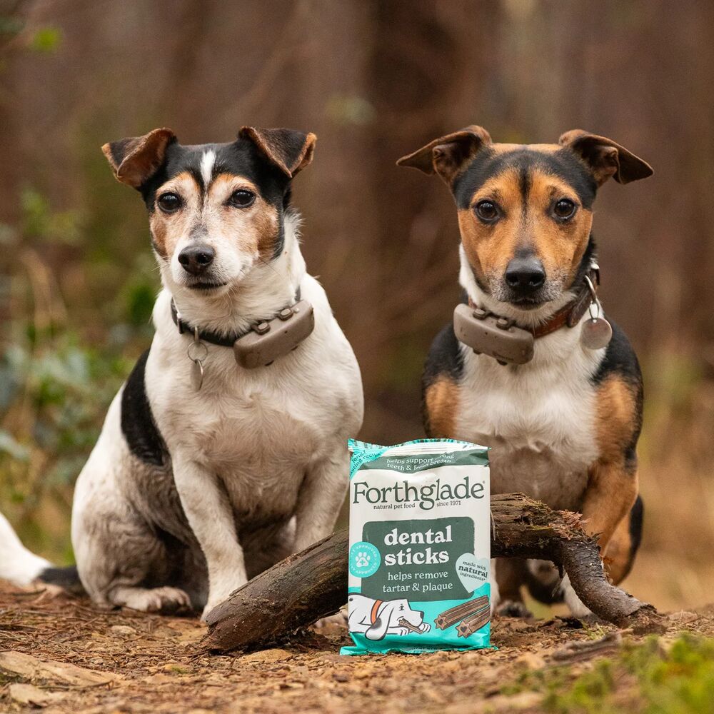charlesthejrt   BR