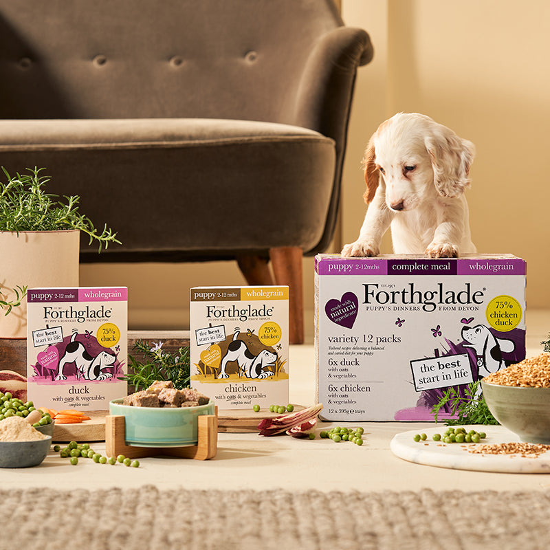 lifestage recipes 800px puppy