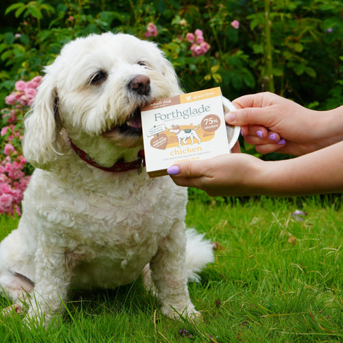 Small Breed Chicken & Vegetables Dog Food