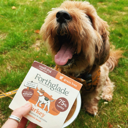 Terrier What To Feed Pitbull Puppy To Get Big The Best Dog Food Of