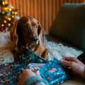 Natural Dog Treats & Christmas Doggy Dinners Festive Box