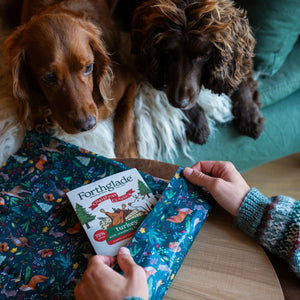 Black Friday Exclusive - Mega Christmas Box