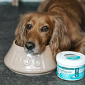 Dental Powder for Dogs