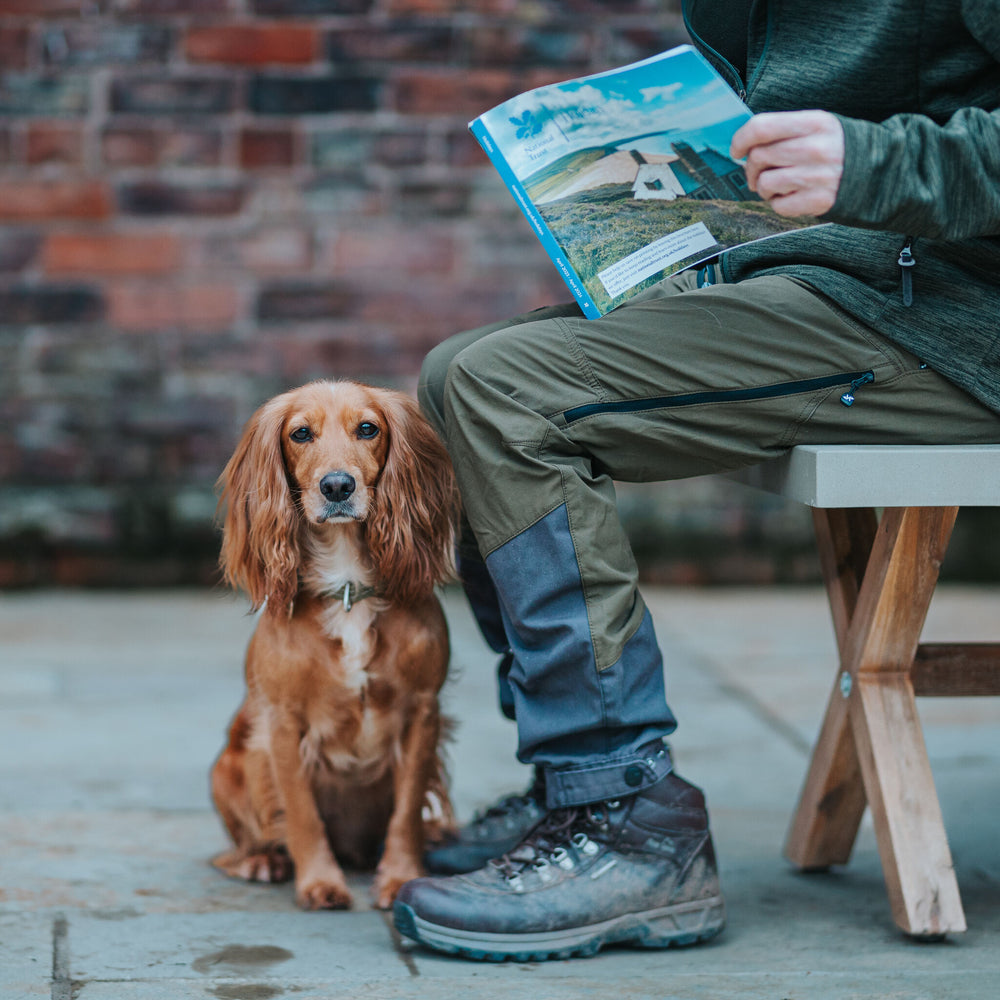 woofwagwalk x National Trust Holiday Cottages   Shopify Product