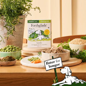 Senior Lamb & Brown Rice Wet Dog Food