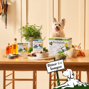 Senior Lamb & White Fish Wet Dog Food Variety Pack