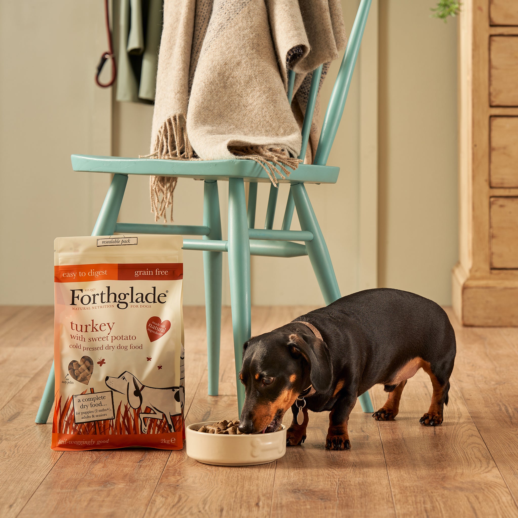 Grain free outlet dog food 20kg