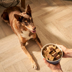 Senior Turkey with Butternut Squash & Vegetables Wet Dog Food