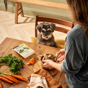 Senior Lamb & Butternut Squash Wet Dog Food