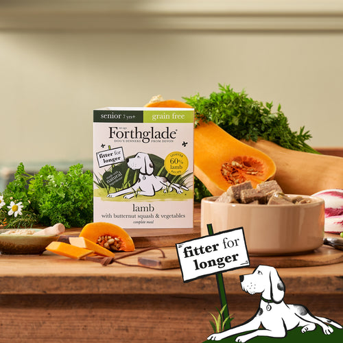 Lamb & Butternut Squash Wet Food For Senior Dogs | Forthglade