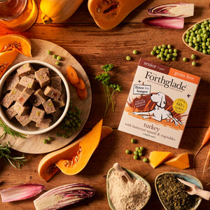Senior Turkey & Butternut Squash Wet Dog Food