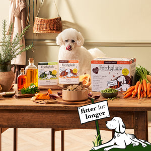 Senior Turkey & Lamb Wet Dog Food Variety Pack