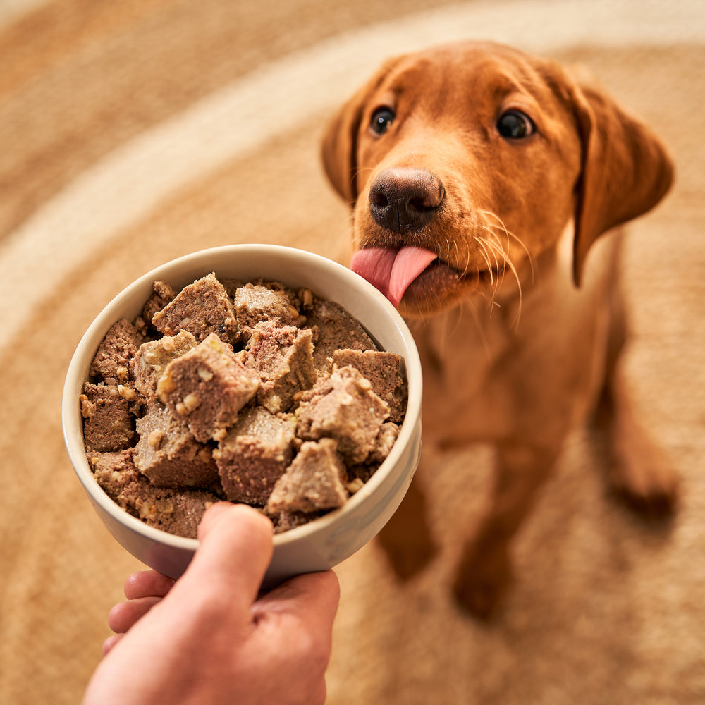 2048 OATS PUP