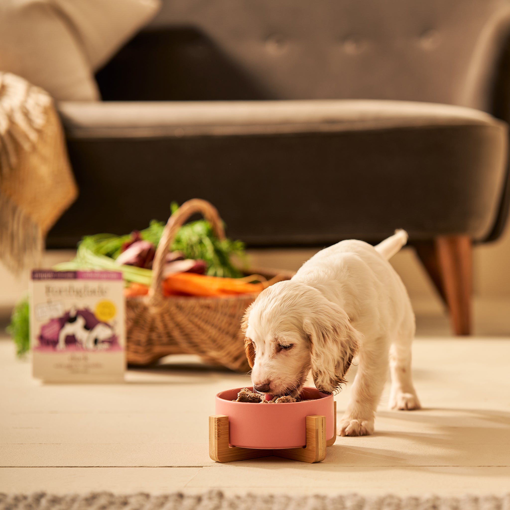 Feeding hotsell dogs oats