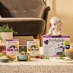 Puppy Chicken, Duck, Oats & Vegetables Wet Dog Food - Variety Pack