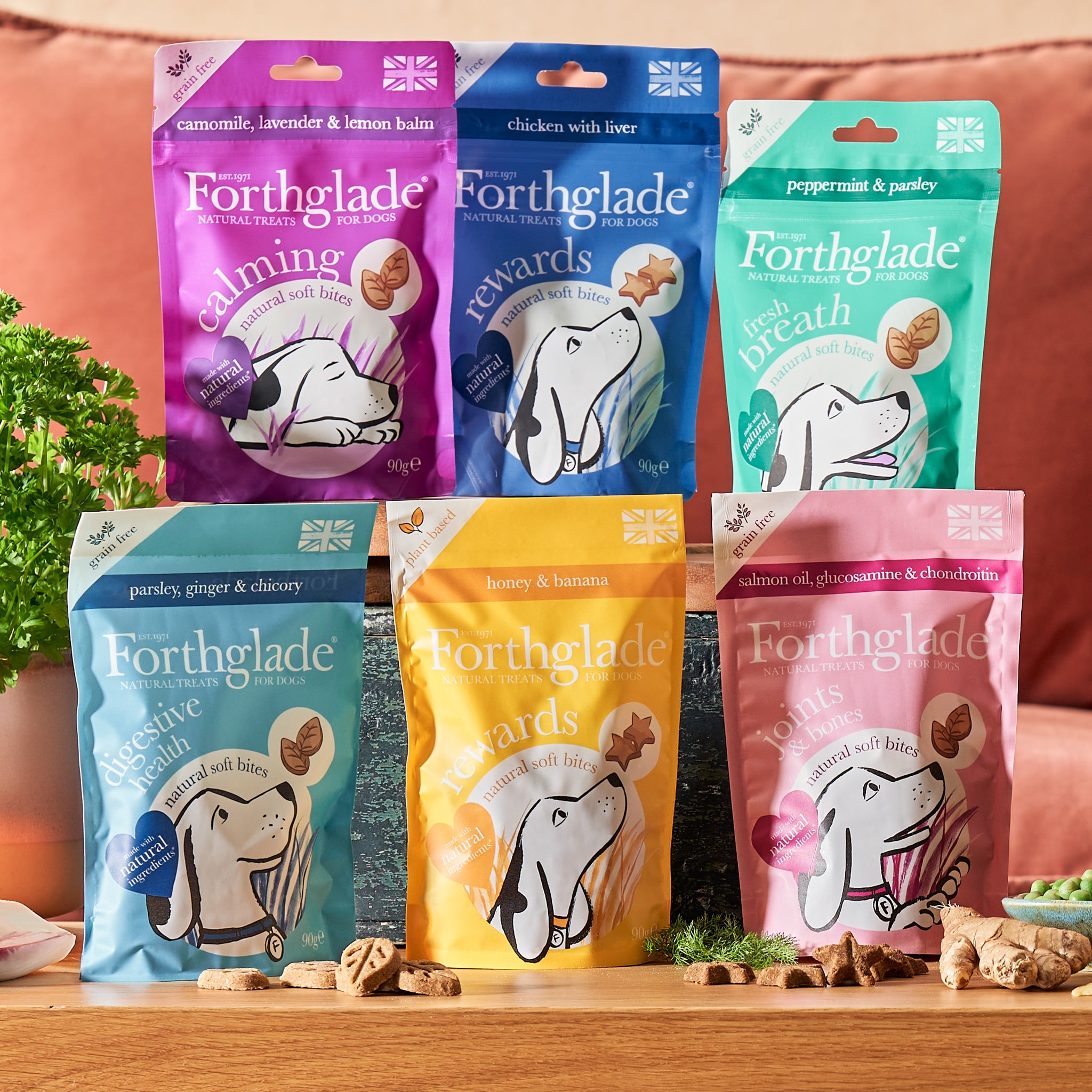 Forthglade multipack clearance