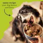 chicken with butternut squash & vegetables wet dog food