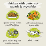 chicken with butternut squash & vegetables wet dog food