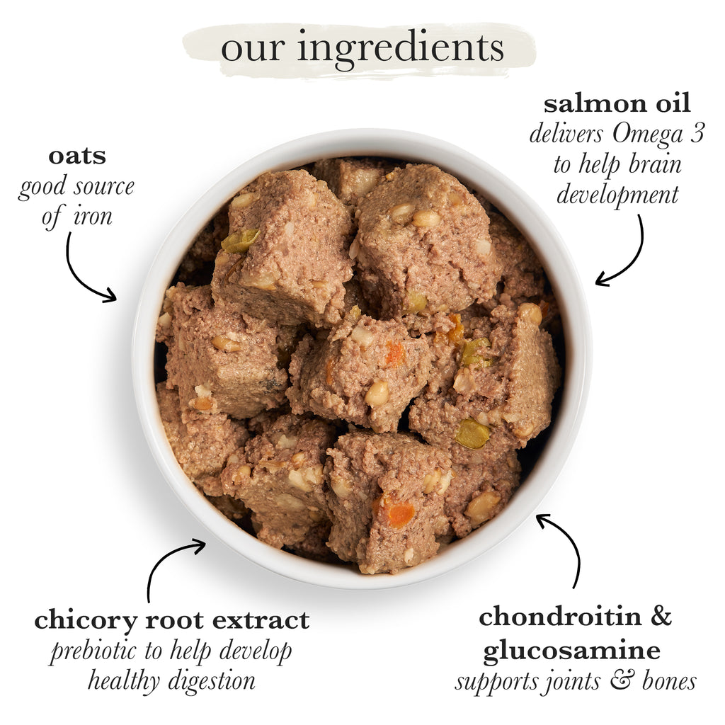 Adult Chicken With Oats & Vegetables Wet Dog Food Forthglade