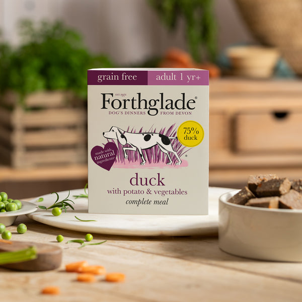 Duck with potato & vegetables natural wet dog food (395g)
