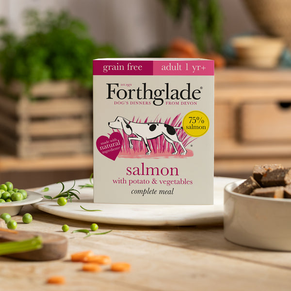 Salmon with potato & vegetables natural wet dog food (395g)