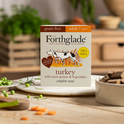 Turkey Sweet Potato Wet Dog Food - Main Image