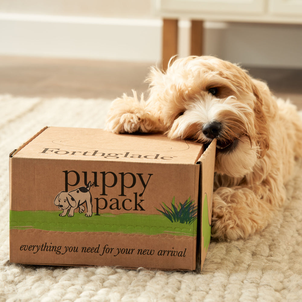 Puppy Dog Food & Treat Pack