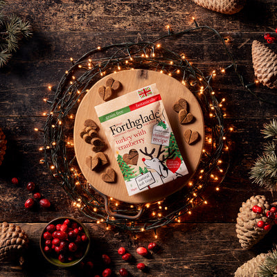 Limited Edition Christmas Soft Bite Treats with Turkey & Cranberry