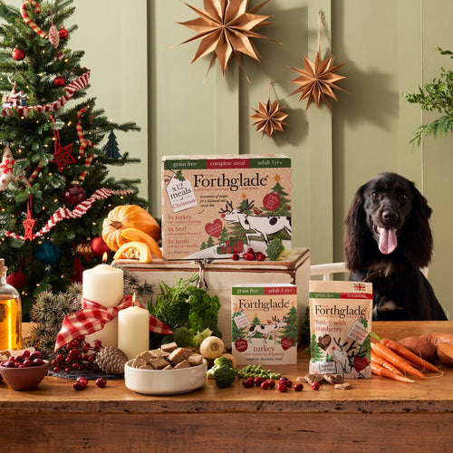 12 Days of Christmas Dog Food Calendar - Wet Food Variety Pack